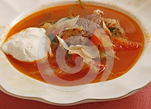Russian borsch soup