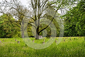 russian cemetery of honor at weimar, thuringia, germany