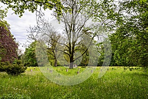 russian cemetery of honor at weimar, thuringia, germany