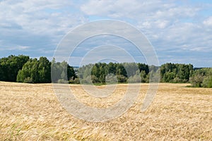 Russian field the Urals