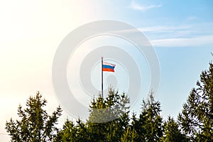 The Russian flag - tricolor rises above coniferous trees against the blue sky