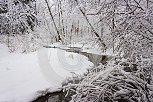 Russian forest in the frosty January day after the strongest snow blizzard