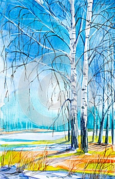 Russian forest landscape with beautiful birches in a clearing with melting snow