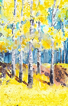 Russian forest landscape with beautiful birches in a clearing. Watercolor illustration