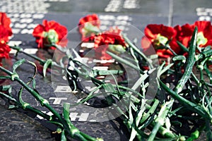 Russian language phrase `sergeant,major, colonel,lieutenant, ranker` - army ranks, flowers on the memorial to fallen soldiers, r