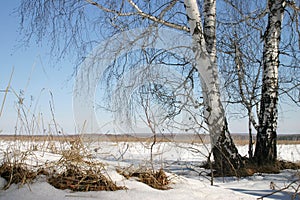 Russian nature