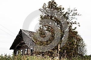 Russian old village on the edge of the forest