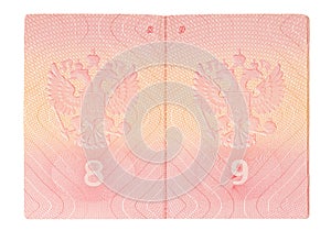 The Russian passport 02