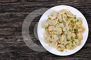 Russian pelmeni sprinkled with fresh parsley