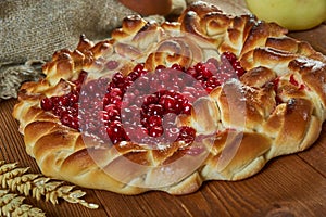 Russian pies Pirog