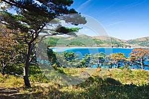 Russian primorye coastline flora