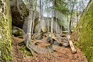 Russian reserve Stolby Nature Sanctuary. Near Krasnoyarsk