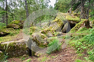 Russian reserve Stolby Nature Sanctuary. Near Krasnoyarsk