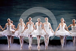 Russian royal ballet perfome Swan Lake