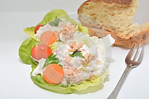 Russian salad with tuna mayonnaise carrots tomato peans starter food on white background and bread and fork photo