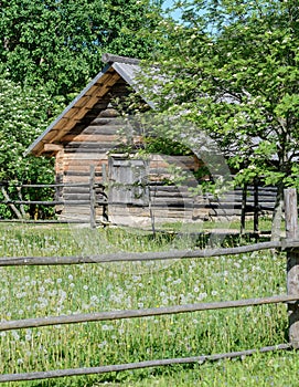 Russian sauna. A small antique wooden bath at the forest