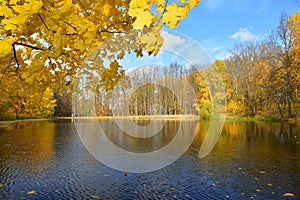 Russian seasons - Sunny Autumn on the forest lake, Russia