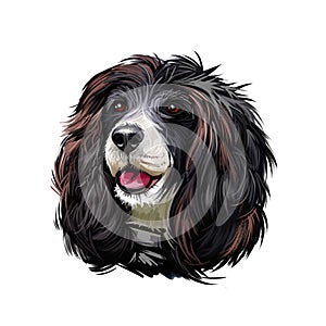 Russian Spaniel dog portrait isolated on white. Digital art illustration for web, t-shirt print and puppy food cover design.