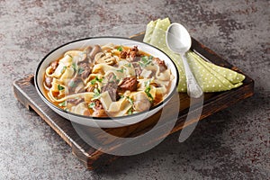 Russian stroganoff soup with veal tenderloin, homemade noodles and mushrooms close-up in a bowl. Horizontal