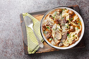 Russian stroganoff soup with veal tenderloin, homemade noodles and mushrooms close-up in a bowl. Horizontal top view