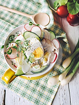Russian summer soup okroshka in big mug