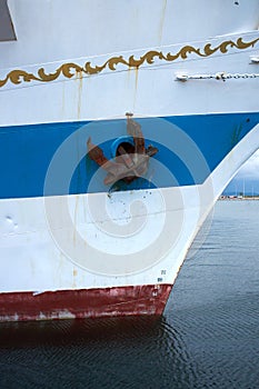 Russian tall ship STS MIR