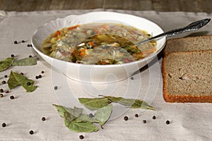 Russian Traditional cabbage, meat soup Shchi on white plate on natural wooden table background