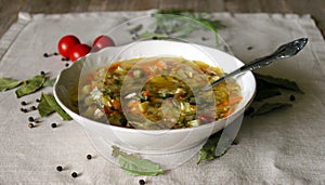 Russian Traditional cabbage, meat soup Shchi on white plate on natural wooden table background