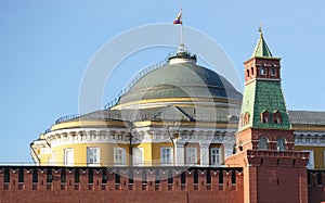 Russian tricolor at the Senate Palace near the Kremlin wall in Moscow