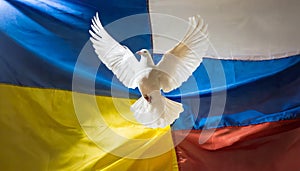 Russian and ukrainian national flags with flying dove of peace