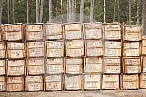 Russian USSR army wooden weapon boxes for machine guns