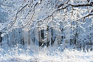 Russian winter fairytale