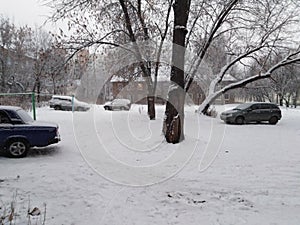 Russian winter photo