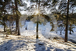Russian winter landscape.