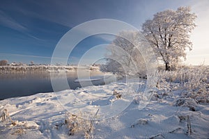 Russian Winter. Morning Frosty Winter Landscape With Dazzling White Snow And Hoarfrost,River And Saturated Blue Sky.