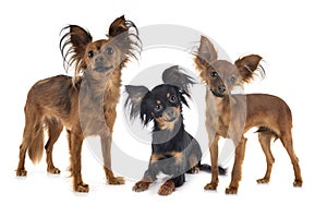 Russkiy Toy in studio