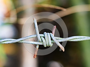 Rust barbed Wire with green nature background