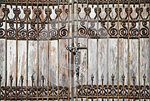 Rusty Wrought Iron Fence Detail