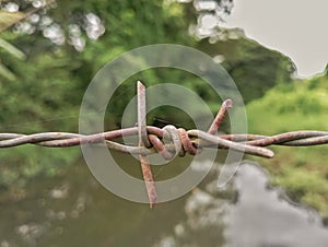 rust in mettle wire photo