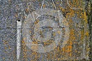 Rust graffiti on concrete wall