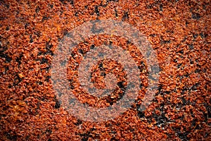 Rust metal texture background