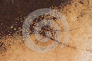 Rust metallic surface