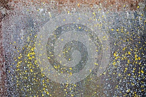Rust and moss on the metal surface. Natural texture background