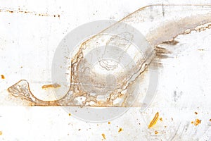 Rust stains on an iron surface