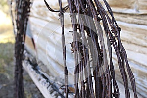 Rusted Barbed Wire