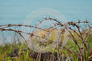 Rusted barbed wire fence in front of the blue sea