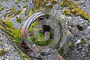 Rusted Bent Metal Cable and Concrete Block Abstract Texture