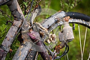 Rusted bike