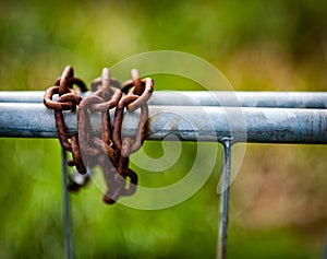 Rusted chains on galvanised gate