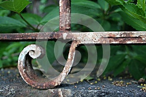 Rusted fence